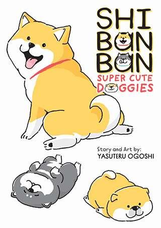 Shi Ban Ban Cover
